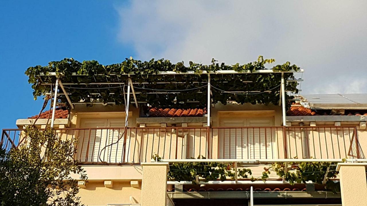 Apartments Kust Mlini Dış mekan fotoğraf
